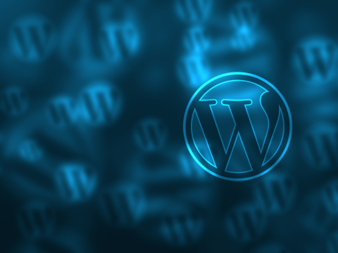 Advanced WordPress Development & Designing Course